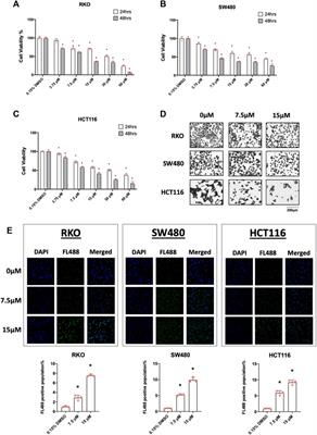 Piperlongumine is a ligand for the orphan nuclear receptor 4A1 (NR4A1)